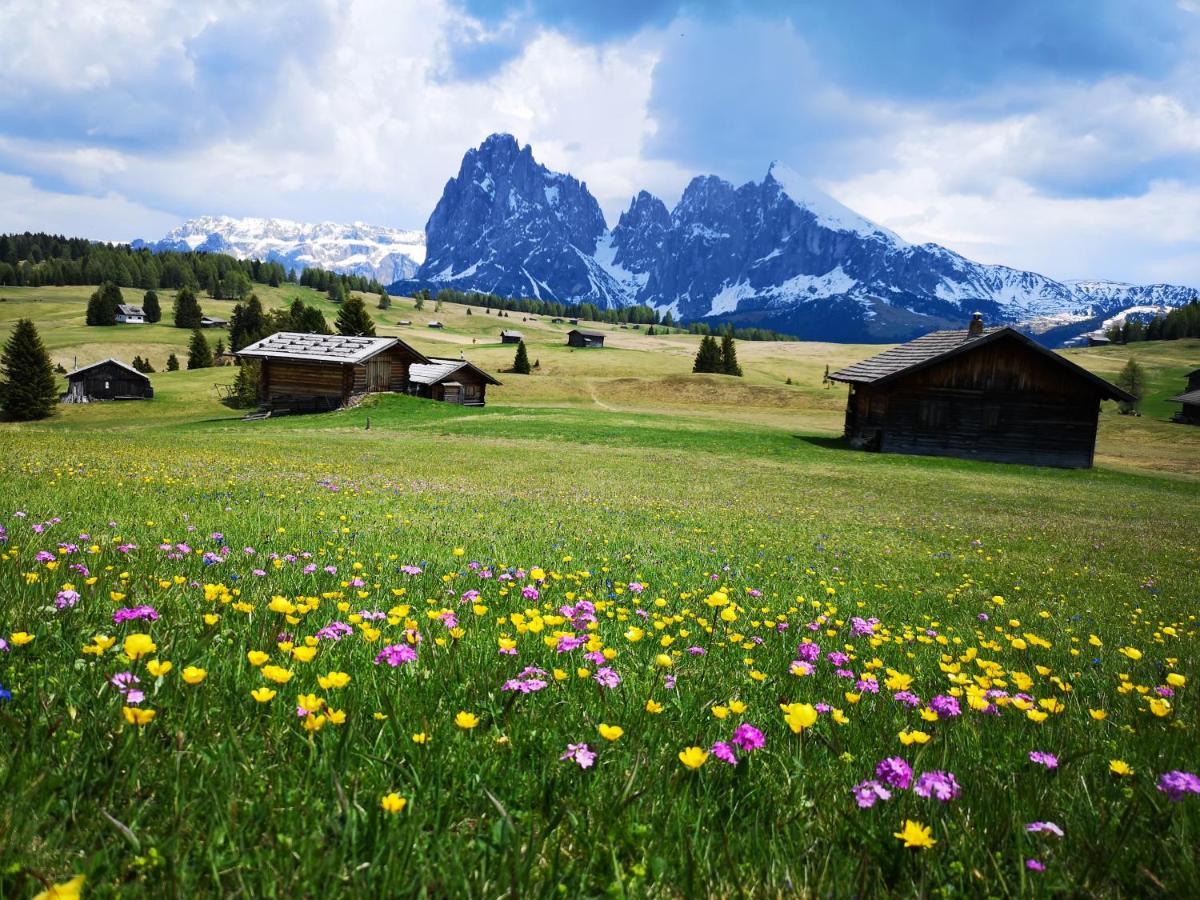 Binterhof Daire Castelrotto Dış mekan fotoğraf